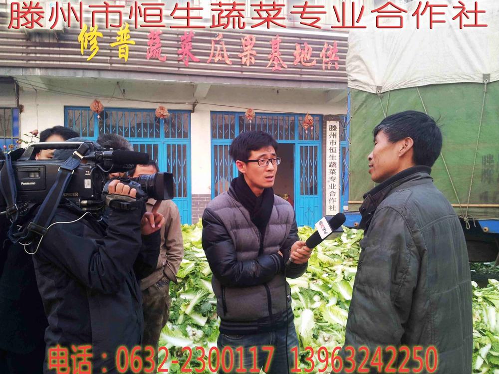 山东省滕州市恒生蔬菜专业合作社