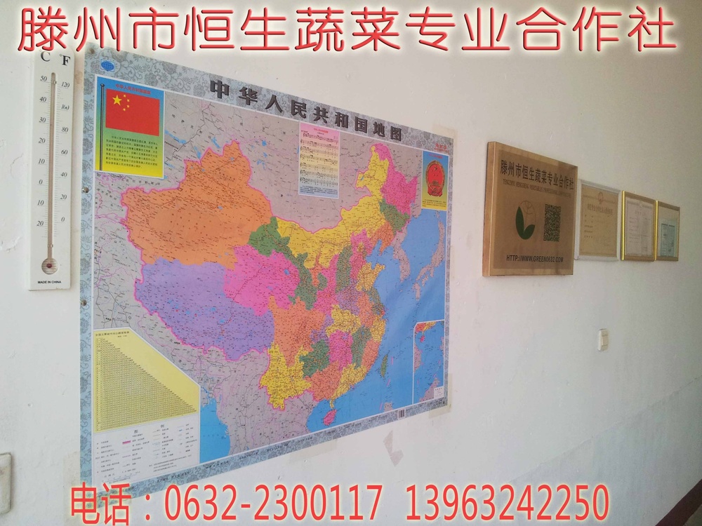 山东省滕州市恒生蔬菜专业合作社信息展示墙